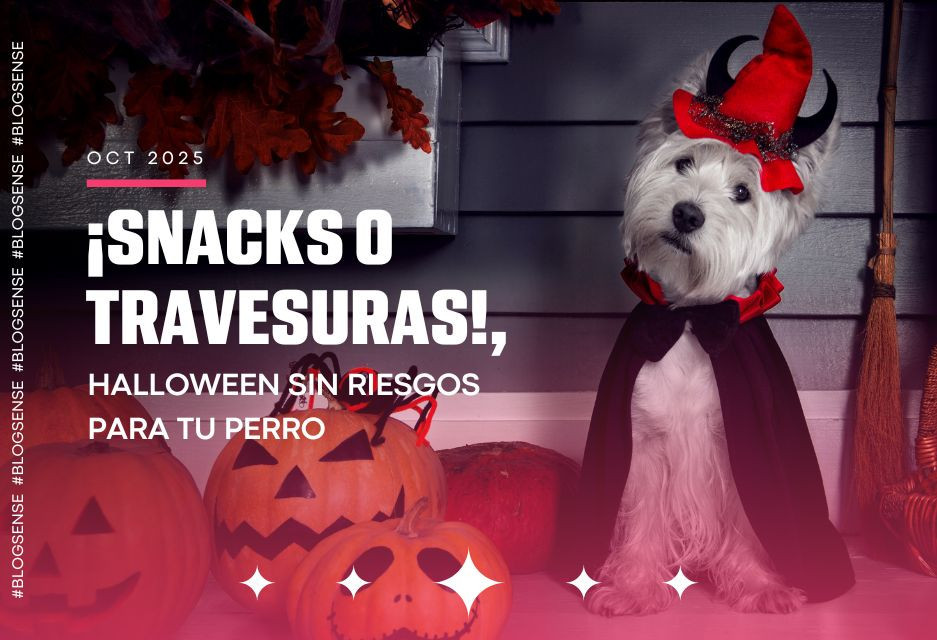 ¡Snacks o travesuras!, Halloween sin riesgos para tu perro